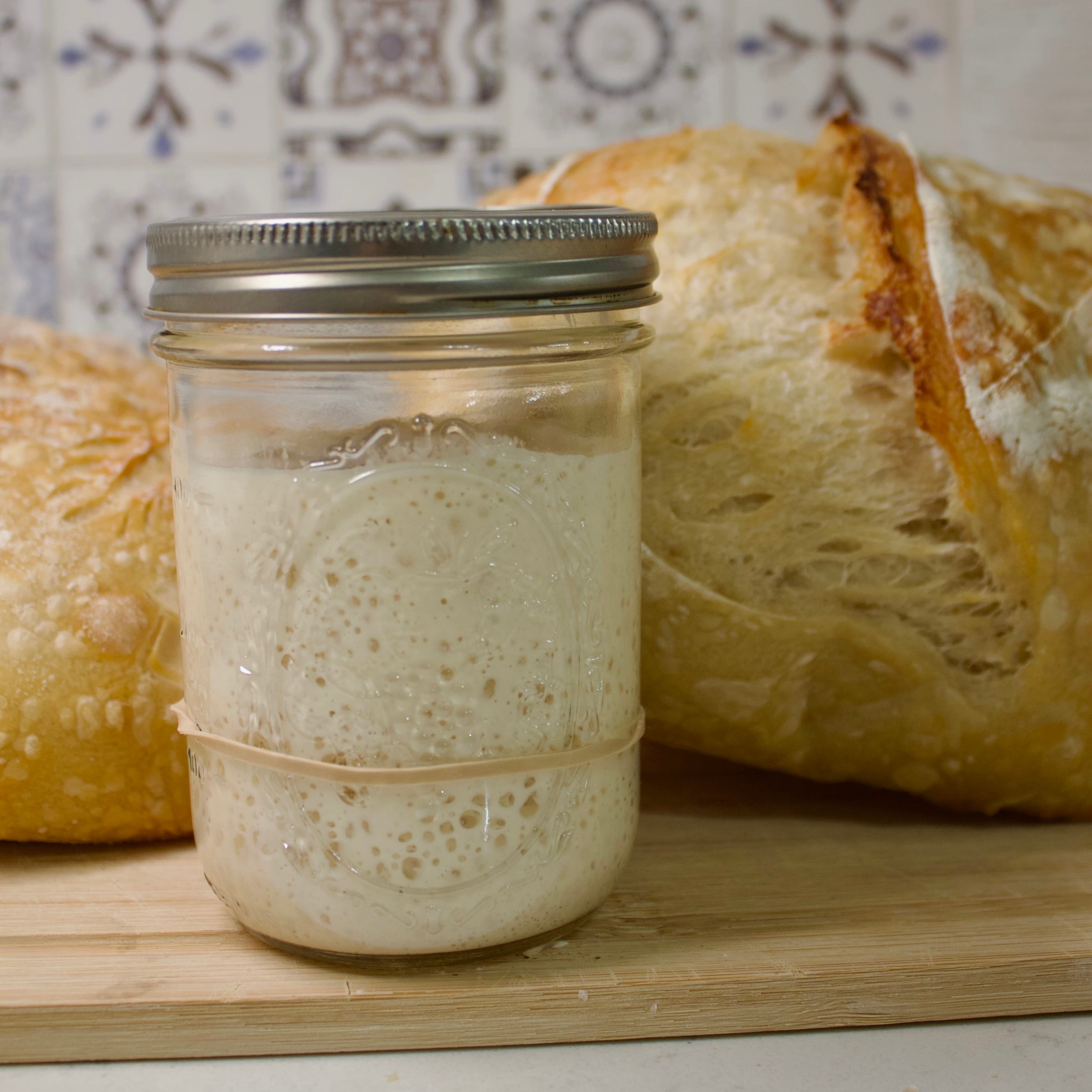 Sourdough Starter (with jar)